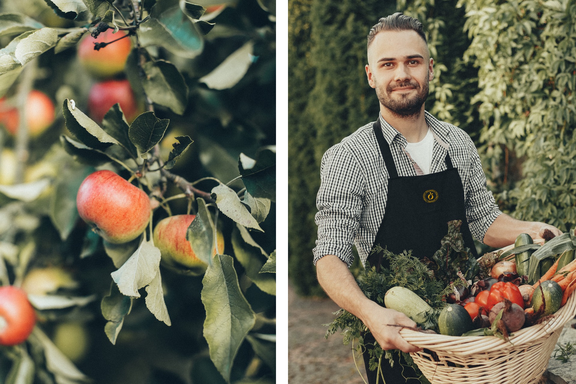 A man at Eggenhof holding a basket of fruit and vegetables.