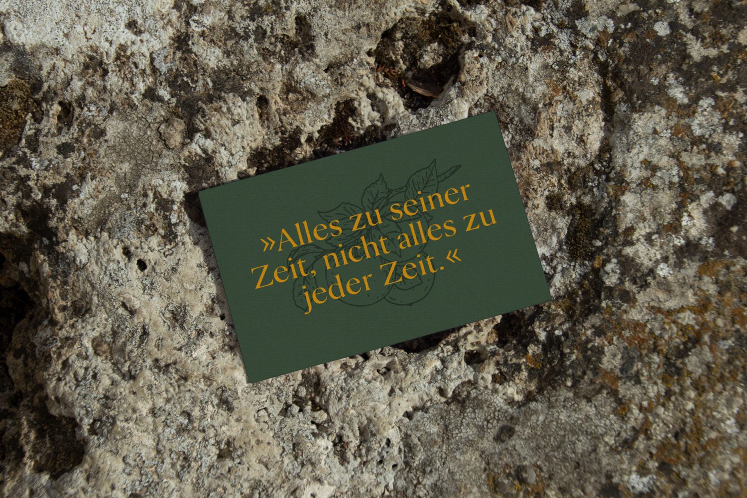 Eine Nachricht auf einem Blatt Papier liegt auf einem Felsen.