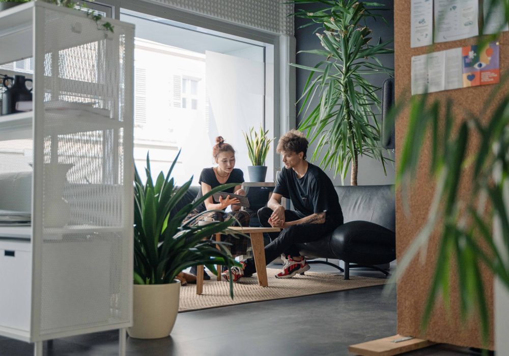 Two people sitting in an office with plants. Two people sitting in an office with plants.