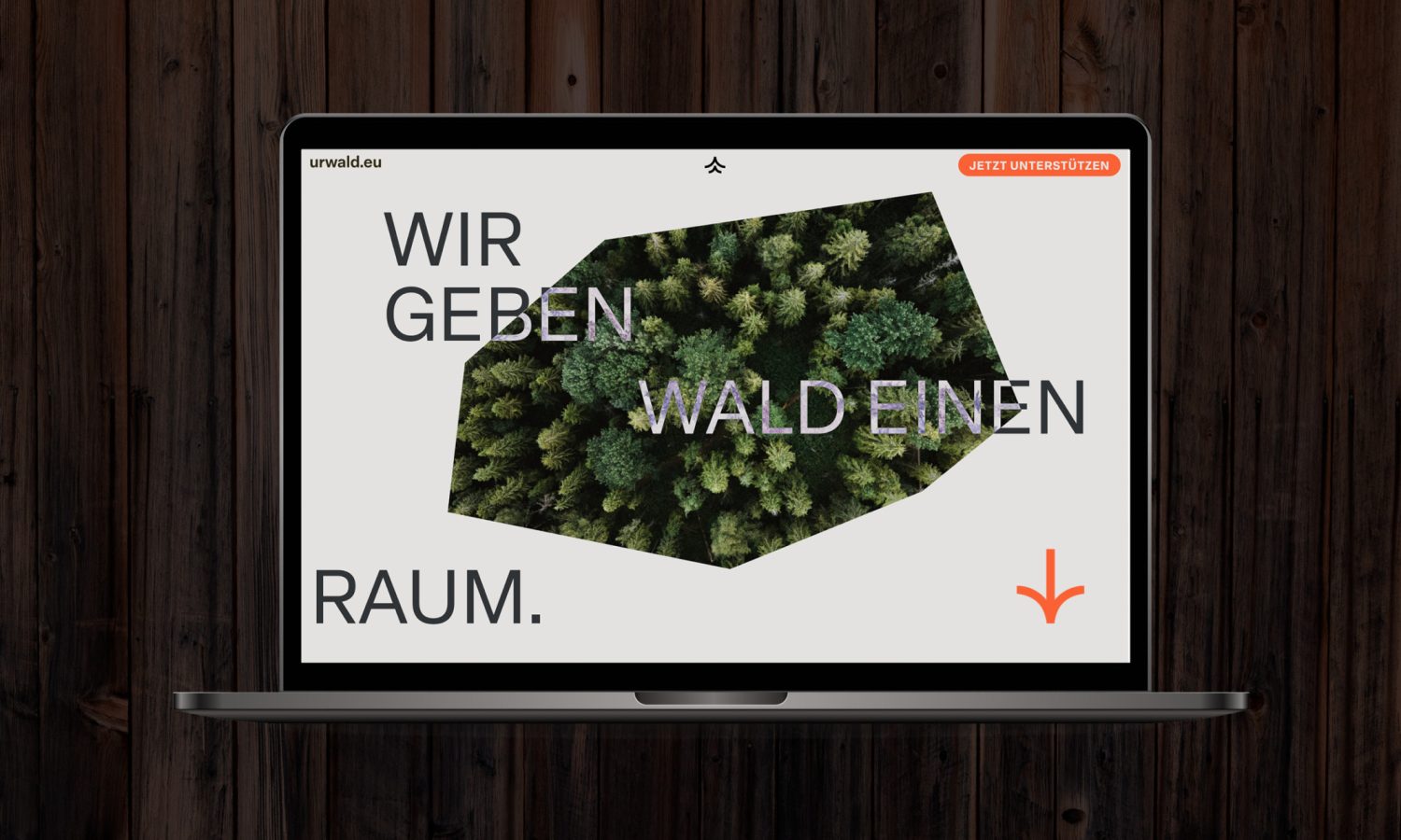 Ein Laptop mit einem Bild eines Baumes von urwald.eu darauf. Ein Laptop mit einem Bild eines Baumes von urwald.eu darauf.