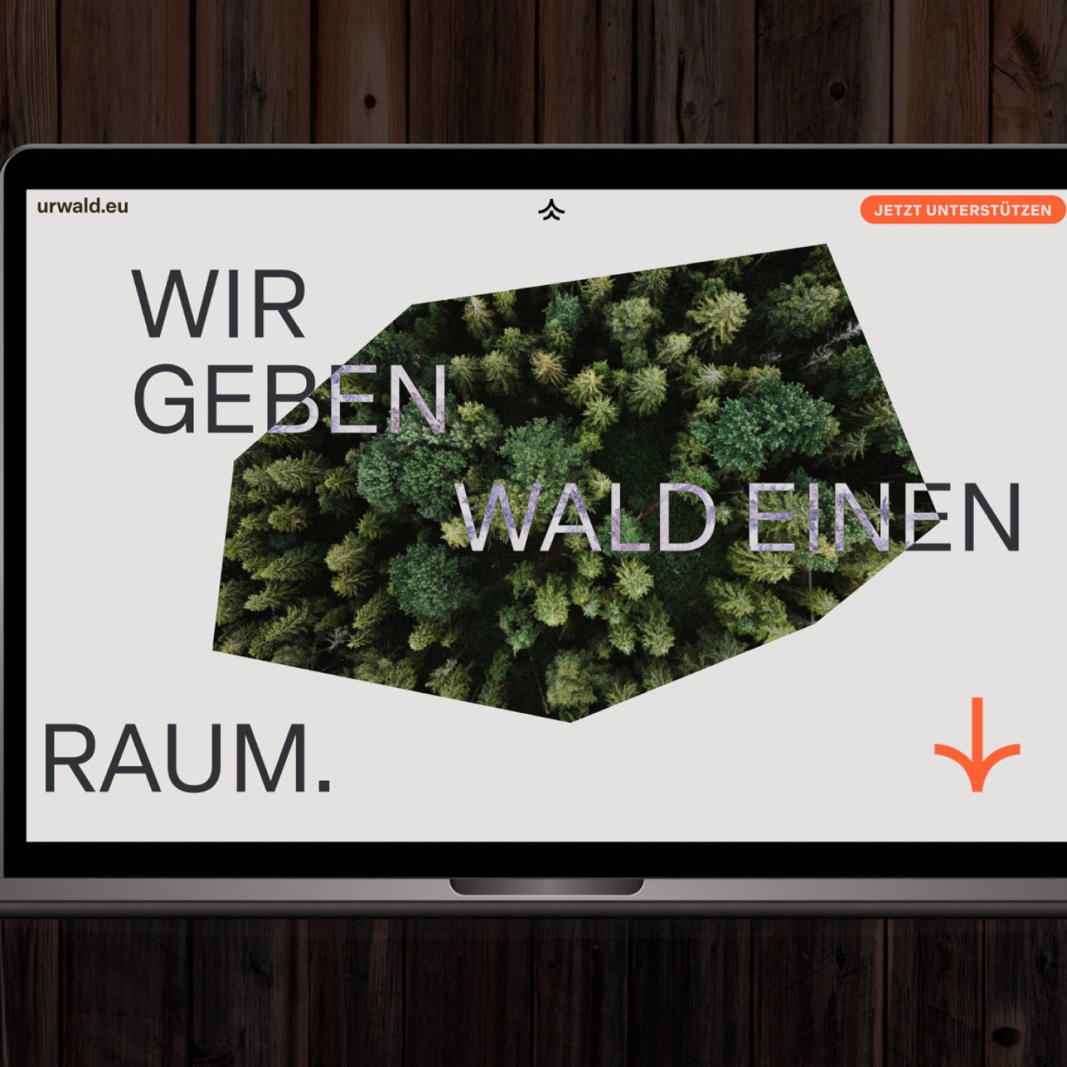 Ein Laptop mit einem Bild eines Baumes von urwald.eu darauf.