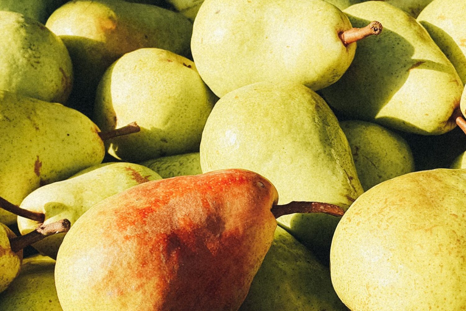 A bunch of pears in an Eggenhof wooden crate.